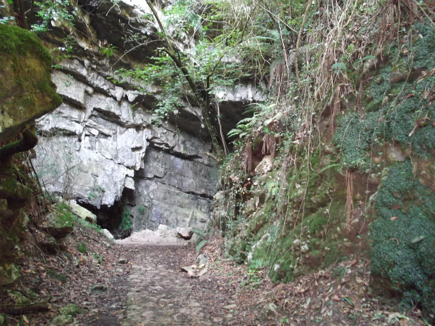 Boca de entrada de la Cueva de El Pendo, en Escobedo de Camargo